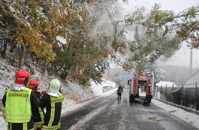 <p>
	Entlang der Bundesstraße 283 zwischen Schönheide und Rautenkranz neigten sich Straßenbäume aufgrund der Schneelast über die Fahrbahn. Die Freiwillige Feuerwehr Schönheide war im Einsatz.</p>
