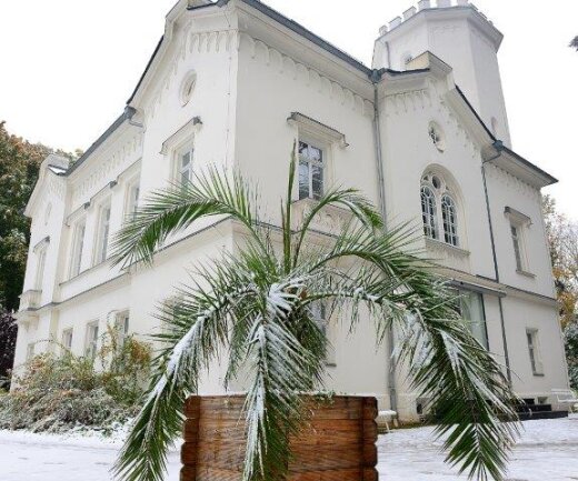 <p>
	Vor dem Gellert-Museum im Stadtpark Hainichen stehen noch Palmen und Kakteen, die nun vom Schnee bedeckt sind.</p>
