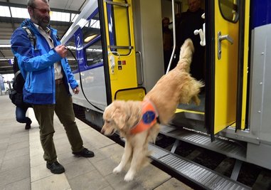 <p>
Einstiegstest mit dem Blindenhund. Die Türeinstiege sind sehr hoch, an den Trittbrettern mit Gittermuster können Hunde steckenbleiben.</p>