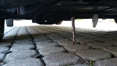 <p>
	Der Blick unter das Auto ließ sie aufschreien: Kopf und Schwanz einer Schlange hingen heraus.</p>
