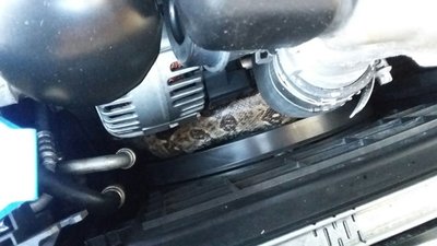 <p>
	Ihr Mann fasste sich schließlich Mut und öffnete die Motorhaube – zu sehen war der Rücken einer Schlange – offenbar tot.&nbsp;</p>
