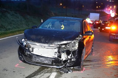 <p>...weil die Wildtiere die Fahrbahn überquerten.</p>
