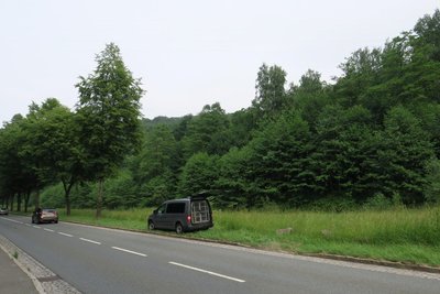 <p>Zuletzt konzentrierte sich die Suche nach dem vermissten Senior auf ein Waldgebiet unweit der Zschorlauer Straße, ehe der Einsatz wegen Dunkelheit vorläufig abgebrochen wurde.</p>