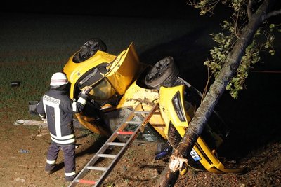 <p>Einer der beiden Fords kam erst an einem&nbsp;Baum zum stehen&nbsp;</p>
