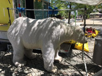 <p>Greenpeace hat einen Eisbären mitgebracht.</p>
