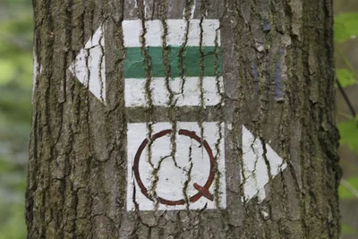 <p>Der Müllerburschenweg führt durch das Gebiet. Künftig soll der Weg Wanderer wieder an Rhododendren und Eichen vorbei direkt durch den historischen Kurpark führen. Ein Weg mit der Markierung Q leitet Spaziergänger zur als Heilwasser eingestuften Reinhardsquelle.</p>
