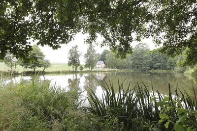 <p>Der Weg um die Teiche wird noch verbreitert, barrierefrei soll er sein. Bänke zum Verweilen kommen noch dazu. Weiden, welche die Birken ersetzen sollen, sind schon angepflanzt.#</p>
