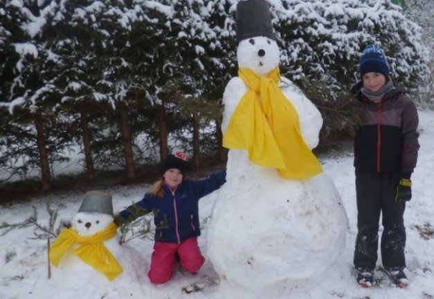 <p>Nico und Lilli Ihle sind Fans des Fußballvereins Borussia Dortmund. Deshalb zieren die Schneemänner der beiden Dresdner, die sie bei ihren Großeltern in Dörnthal gebaut haben, auch gelbe Schals.</p>
