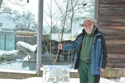 Pflanzung vom Baum des Jahres im Tierpark Klingenthal: Tino Richter mit der Echten Mehlbeere.