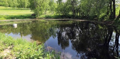 Dieser Teich in der Wiesenlandschaft von Zethau war nach der Verlegung der Gasleitung vollkommen ausgetrocknet.