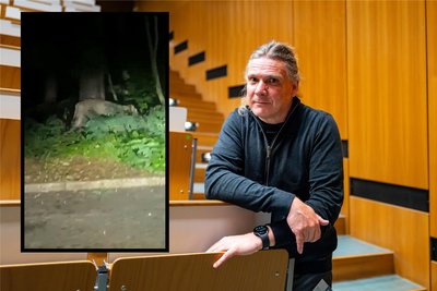 Dirk Labudde, Jahrgang 1966, ist Professor für Forensik und Bioinformatik an der Hochschule Mittweida. Für "Freie Presse" hat er sich das Video der "Löwin von Kleinmachnow" angesehen.