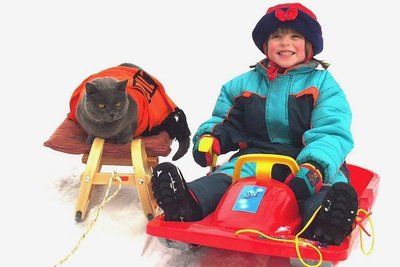 Armin Leischel aus Grünhain-Beierfeld hat Kater Asrael mit Tina beim Schlittenfahren geknipst - ein fröhliches und farbenfrohes Foto.
