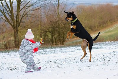 Während eines Besuchs in Grünhainichen ist das Foto "Absoluter Winterspaß - Herumtollen mit Sunny" von Kerrin Hofmann aus Zeuthen entstanden.