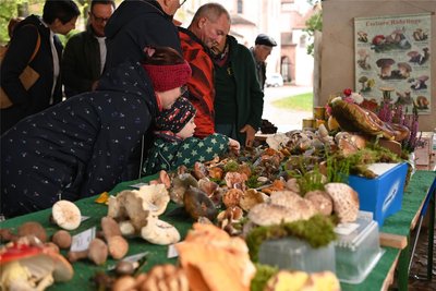 Die hiesigen Pilzberater geben beim Herbstfest in Mülsen St. Niclas am 13. Oktober wieder Tipps.