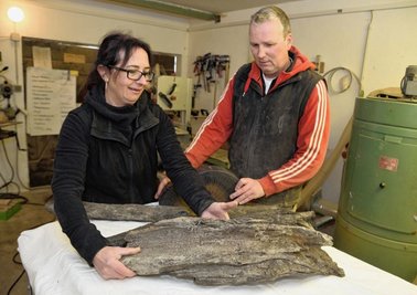 Holzdesignerin Steffi Bauer und ihr Mitarbeiter Arne Hirschligau mit dem 20.000 bis 30.000 Jahre altem Holz, das laut Experten noch aus der letzten Eiszeit stammt. 