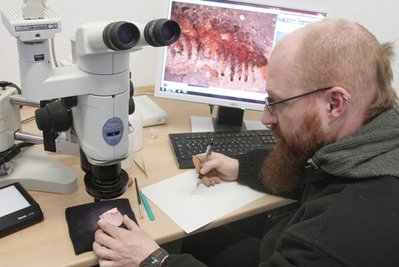 Grabungsleiter Ralph Kretzschmar analysiert den Abdruck eines Hundertfüßers.