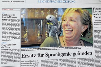 11. September 2014. Wirtin Walburga Koppetz mit der gerade eingeflogenen Graupapagei-Dame Frieda am „Bergschlößchen“-Tresen. Frieda gehört wie ihr in jenem Jahr entflogener Vorgänger Jacko zum Inventar der Traditions-Einkehr – bis heute.