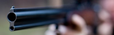 Bei einem Fall von Jagdwilderei im Revier Sachsengrund wurden zwei Hirschkühe getötet. Die Polizei ermittelt. 