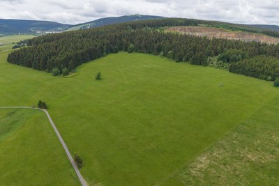 Auf dieser Wiese zwischen dem Radweg (vorn links) und dem Wald am Steinbruch (hinten) soll die Freiflächenanlage errichtet werden.