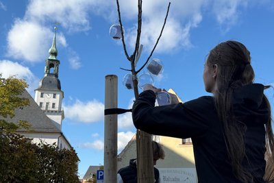 Zehntklässler in Frankenberg haben ihre Berufswünsche an einen Apfelbaum gehängt.