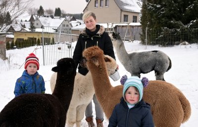 Beim Füttern: Adrian (5), Cindy Jokisch und Elisa (4) mit den Alpakas auf der Weide hinter dem Haus. 