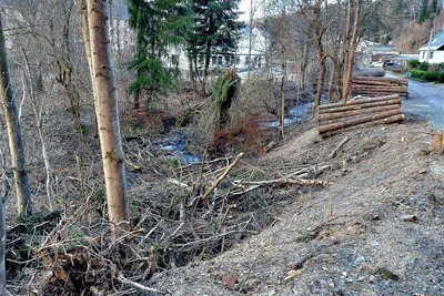 Heftige Kritik gibt es von Bürgern: Ein Großteil des abgeschnittenen Astwerks verstopft den Dürrenbach.