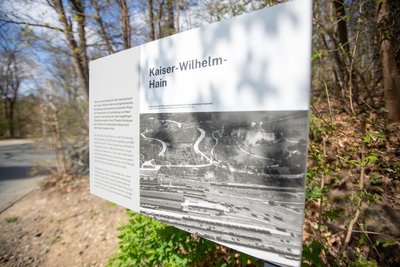 Die Sanierung des Plauener Stadtparkes ist abgeschlossen. Zum Abschluss wurden neue Schautafeln aufgestellt.