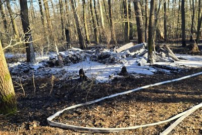 In einem Waldstück brannte der Boden – das Feuer drohte, sich Richtung Syratalbrücke auszubreiten.