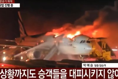 Brandherd im Handgepäckfach: Die Maschine vom Typ Airbus 321 des Fluges BX 391 der südkoreanischen Fluglinie Busan Air brannte im Januar völlig aus.
