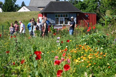Gartenbesitzer können sich anmelden und so Teil einer besonderen Aktion werden.
