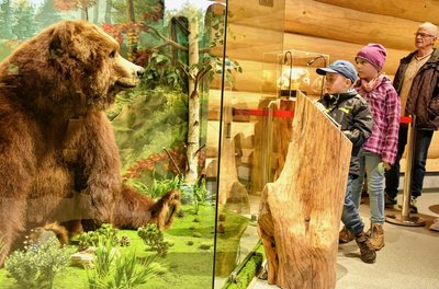 Das Herbstfest lockte am Samstag über 500 Besucher in den Tierpark Klingenthal. Offiziell eröffnet wurde dabei das Info-Haus als neue Attraktion. Ein Blickfang darin ist das Präparat von Ulla, die als letzte im Tierpark lebendeGrizzly-Bärin 2019 starb und jetzt nach Klingenthal zurückgekehrt ist.
