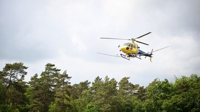 In Mecklenburg-Vorpommern, Sachsen-Anhalt und Brandenburg wurde vom Hubschrauber aus bakterienbasiertes Insektizid versprüht.
