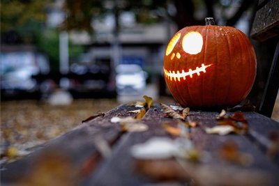 Die einen lieben, die anderen verwünschen sie: die Kürbisfratzen zu Halloween. 