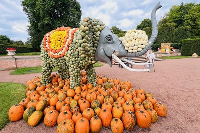 Meterhohe Skulpturen zum Thema Zirkus sind beim Kürbistfestival in Lichtenwalde zu sehen.