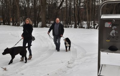 Hunde