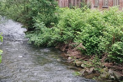 Problemzone Göltzsch. In diesem Flussabschnitt an der Kunststeinwerk-Brache gab es eine feste, längst weggespülte Löschwasserentnahmestelle.