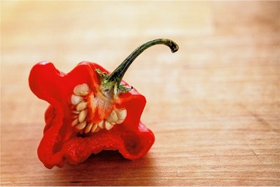 Diese Chili mit dem Namen "Carolina Reaper" ist besonders scharf. 