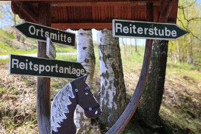 Wo geht es hin mit der Reitsportanlage in Grünstädtel? Und darf der Pferdesportverein bleiben?