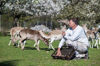 Jack Schubert hat viele Tiere auf seinem Hof – unter anderem auch Dammwild.