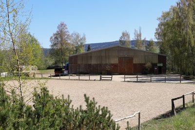 Die Reitsportanlage in Grünstädtel steht zum Verkauf.