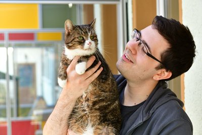 "Mickey" ist verschmust und lieb, leidet allerdings an einem chronischen Katzenschnupfen. Künftige Besitzer müssen also mit wiederkehrenden Tierarztkosten rechnen. Im Bild Domenic Stahr mit Mickey, einen 8 bis 10 Jahre alten Kater. Domenic leistet im Tierheim bis August 2020 ein Freiwilliges Soziales Jahr.