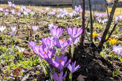 Durch die Sonne ergibt sich vielerorts ein einzigartiges Farbenspiel.