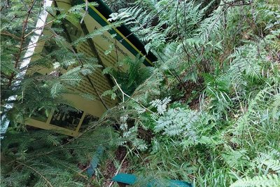 Auf die im Wald liegenden beschädigten Schilder und Tafeln am Naturlehrpfad Hüttenbachtal hatten Leser aufmerksam gemacht.