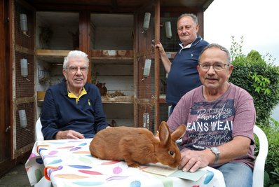 Im Meeraner Kaninchenpark bereiten die langjährigen Vereinsmitglieder Ronald Grimm, Werner Jahn und Jürgen Bachmann (von links) die Feier zum 125-jährigen Bestehen des Vereins vor.