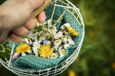 Leckere Vielfalt: Zahlreiche Blüten von Kräutern, Zier- und Wildpflanzen eignen sich hervorragend als dekorative und aromatische Ergänzung für Speisen.