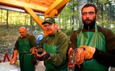 Fischereifest