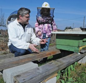 Leerer Bienenstock