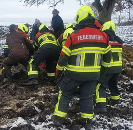Am Montag mussten die Feuerwehrleute in Garnsdorf einem Pferd auf die Beine helfen. Das Tier lag auf eisigem Untergrund. 