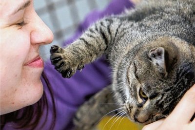 Charlotte Haugk hält eine von mehr als 150 Katzen in den Händen, die derzeit im Tierheim Kandelhof versorgt werden. 