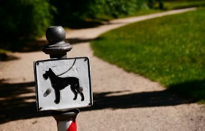 Nach einer Beißattacke durch einen Hund auf einen Mann in Zwota fordert Peta einen Hundeführerschein im Freistaat. Nach Polizeiangaben war der Hund angeleint gewesen.